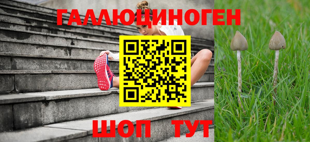 Мценск  Псилоцибиновые грибы прущие грибы  Вход с VPN 
